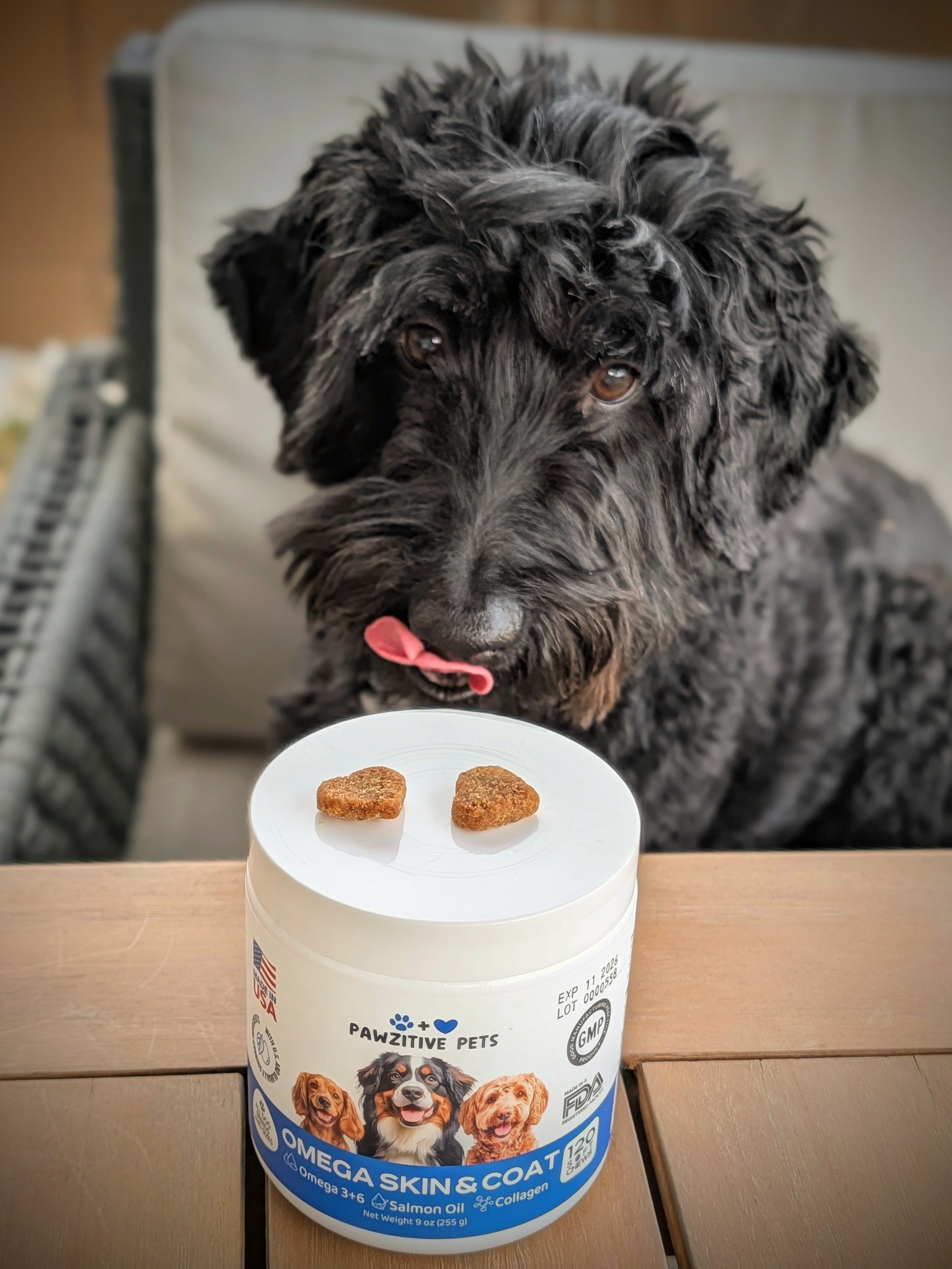 Pawzitive Pets Omega